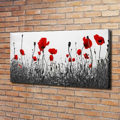 Quadro stampa su tela Papaveri