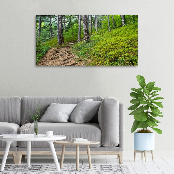 Foto quadro su tela Sentiero nel bosco