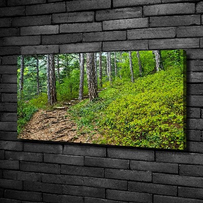 Foto quadro su tela Sentiero nel bosco