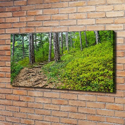 Foto quadro su tela Sentiero nel bosco
