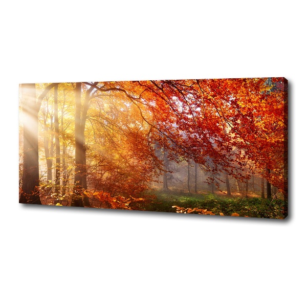 Quadro su tela Foresta autunnale