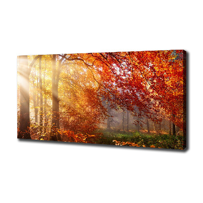 Quadro su tela Foresta autunnale