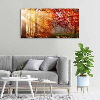 Quadro su tela Foresta autunnale