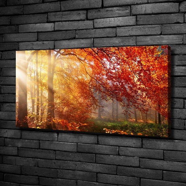 Quadro su tela Foresta autunnale
