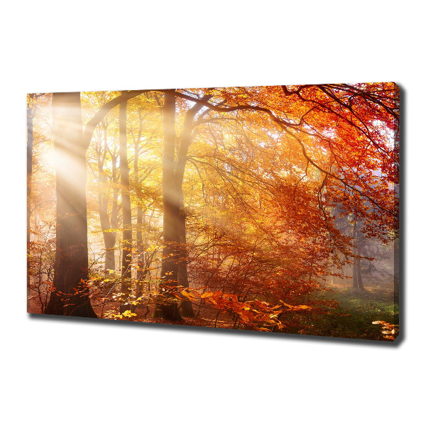 Quadro su tela Foresta autunnale
