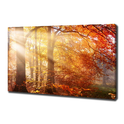 Quadro su tela Foresta autunnale