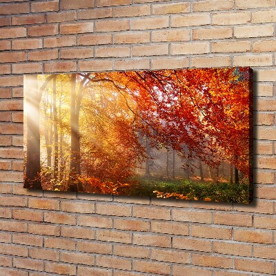 Quadro su tela Foresta autunnale