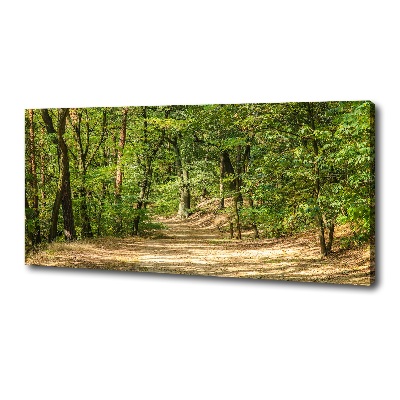 Foto quadro su tela Sentiero nel bosco