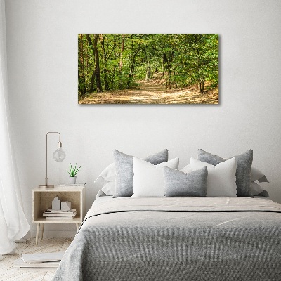 Foto quadro su tela Sentiero nel bosco
