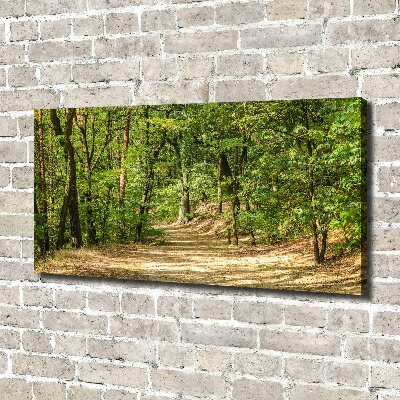 Foto quadro su tela Sentiero nel bosco