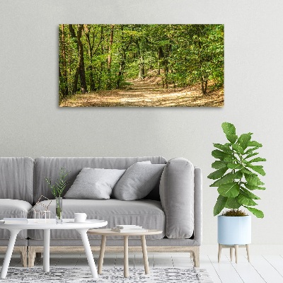 Foto quadro su tela Sentiero nel bosco
