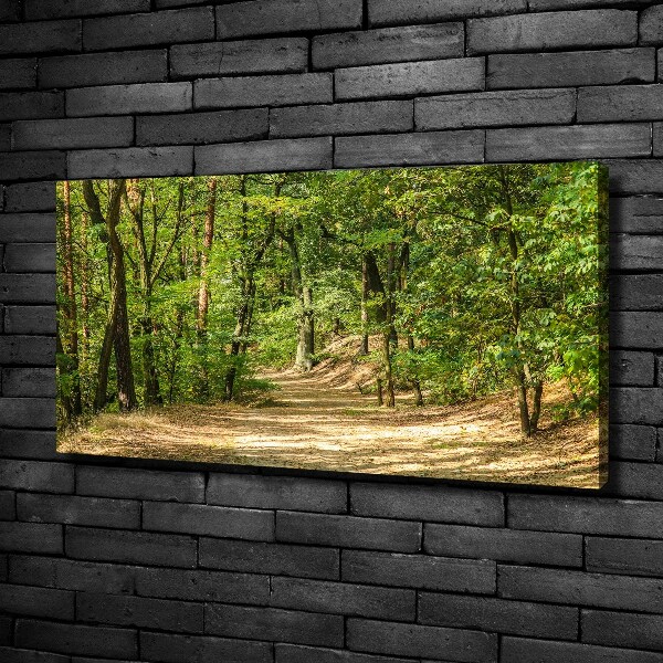 Foto quadro su tela Sentiero nel bosco