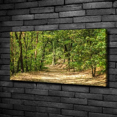 Foto quadro su tela Sentiero nel bosco