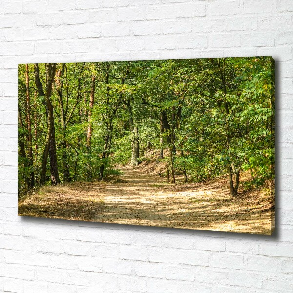 Foto quadro su tela Sentiero nel bosco
