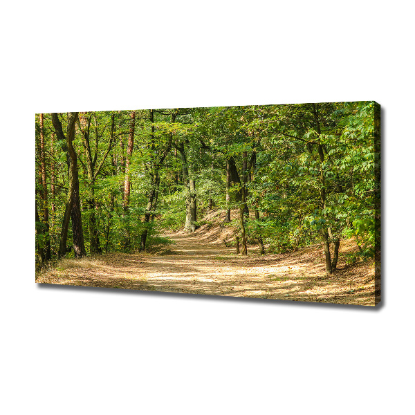 Foto quadro su tela Sentiero nel bosco