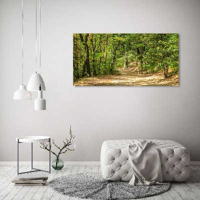 Foto quadro su tela Sentiero nel bosco