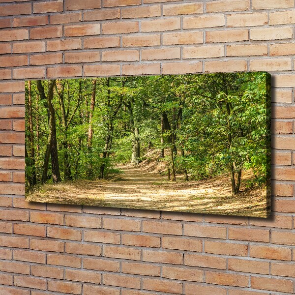 Foto quadro su tela Sentiero nel bosco