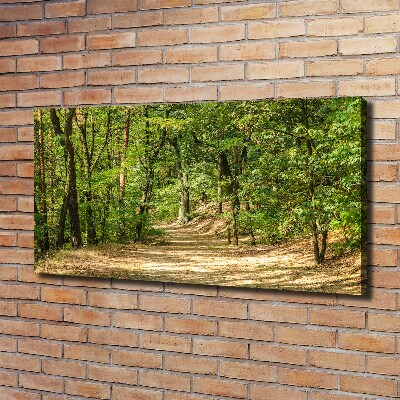 Foto quadro su tela Sentiero nel bosco