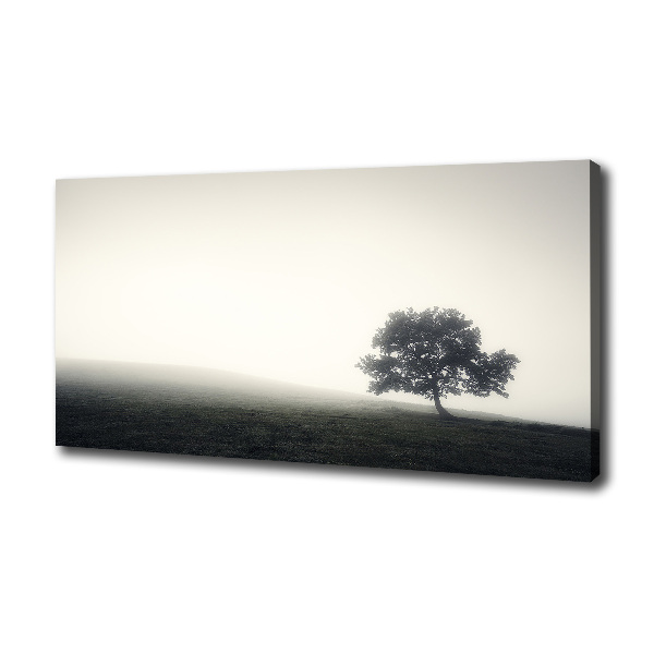 Quadro su tela Albero solitario