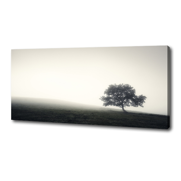 Quadro su tela Albero solitario