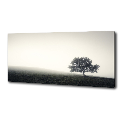 Quadro su tela Albero solitario