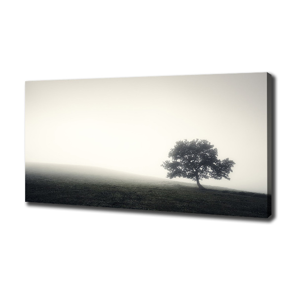 Quadro su tela Albero solitario