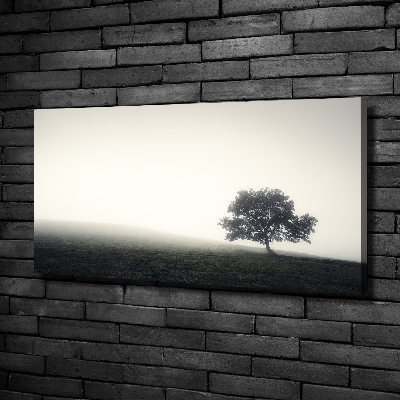 Quadro su tela Albero solitario