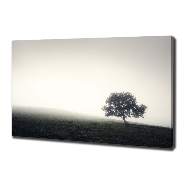 Quadro su tela Albero solitario