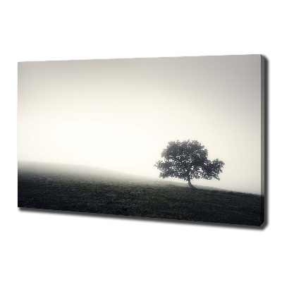 Quadro su tela Albero solitario