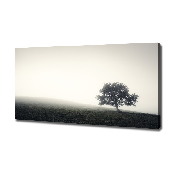 Quadro su tela Albero solitario