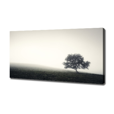 Quadro su tela Albero solitario