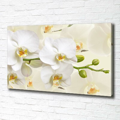 Quadro stampa su tela Orchidea