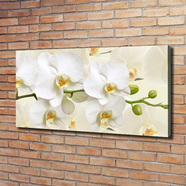 Quadro stampa su tela Orchidea