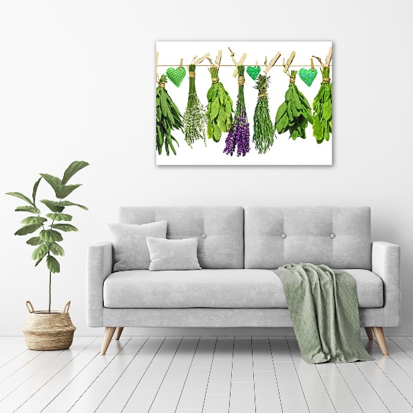 Quadro su tela Erbe aromatiche su un filo
