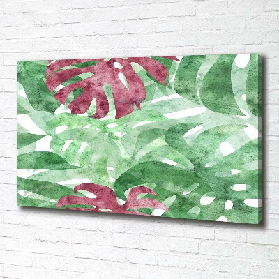 Quadro su tela Monstera