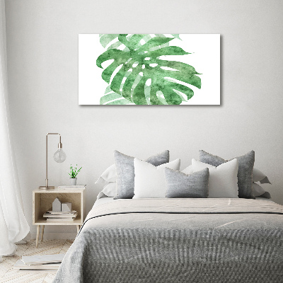 Foto quadro su tela Monstera