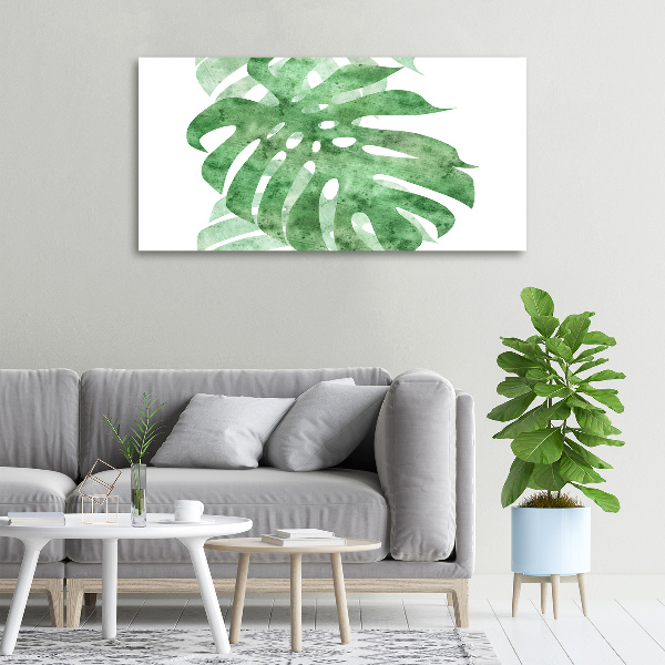 Foto quadro su tela Monstera
