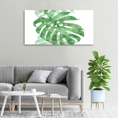 Foto quadro su tela Monstera