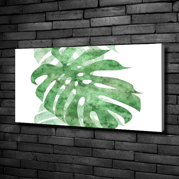 Foto quadro su tela Monstera