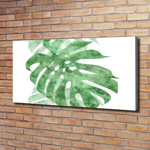 Foto quadro su tela Monstera