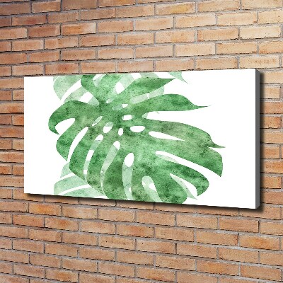 Foto quadro su tela Monstera