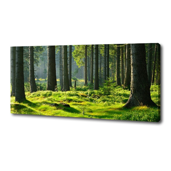 Quadro stampa su tela Foresta di abeti rossi
