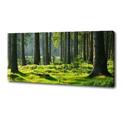 Quadro stampa su tela Foresta di abeti rossi