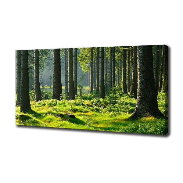 Quadro stampa su tela Foresta di abeti rossi