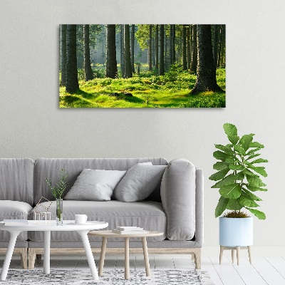 Quadro stampa su tela Foresta di abeti rossi