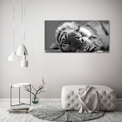 Quadro su tela Tigre addormentata