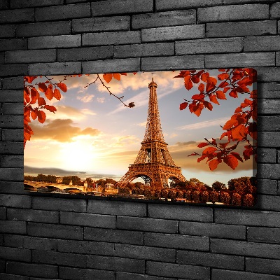 Quadro su tela Torre Eiffel Parigi