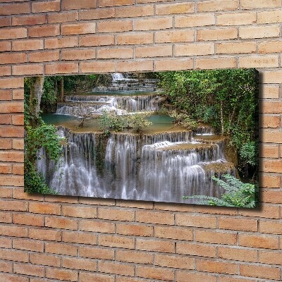 Quadro su tela Cascata nella foresta