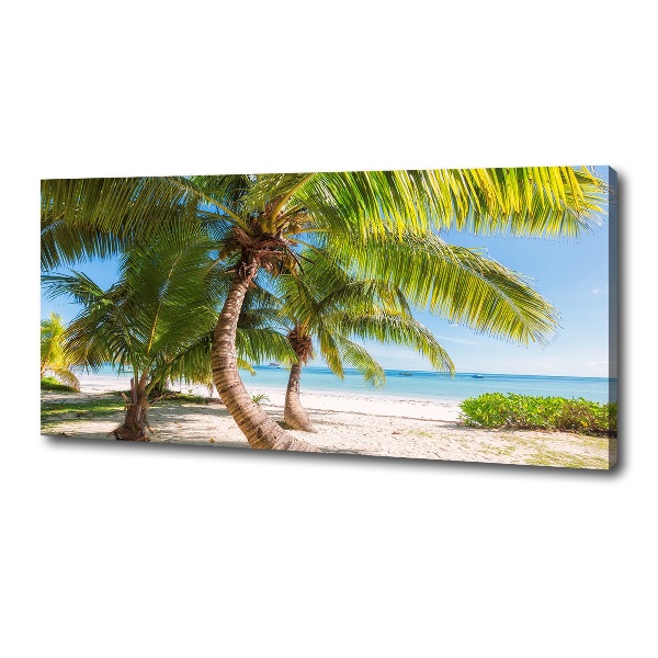 Foto quadro su tela Spiaggia tropicale