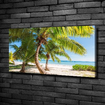 Foto quadro su tela Spiaggia tropicale